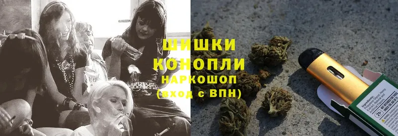 где можно купить   Нолинск  Канабис Ganja 